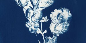 James Critchlow, 'StyleGAN Cyanotype #1' from the series 'Nature Hallucination', 2022.