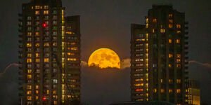 Image of the moon behind buildings.