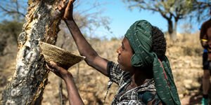 Image of a man collecting water.