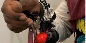 Davidstar holding a small model traffic light and a red whistle