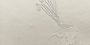 Image of a white floral emboss print.