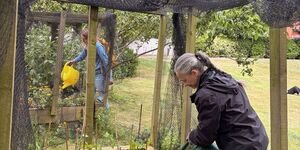 Gentle Gardening