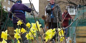 Gentle Gardening