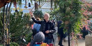 Kew gardens