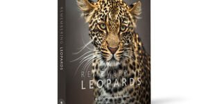 3D Cover of the Remembering Leopards book.