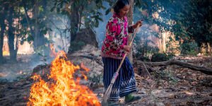 Image of a woman tending to a forest fire in Cambodia.