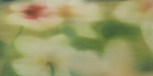 Stems of Solace, oil on linen, Olivia Rose Durley