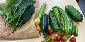 Gentle Gardening Harvest
