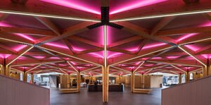 Image of pink LED lights and a wooden design at Abba arena.