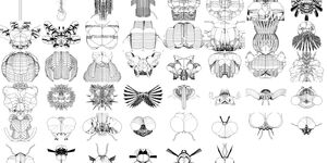 Collage of AI designs.
