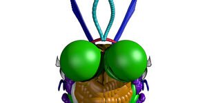 Graphic design of a fly head.