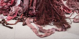 Image of an installation.