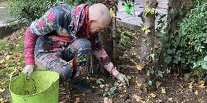 Gentle Gardening at Coin Street
