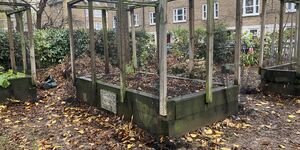 Gentle Gardening at Coin Street