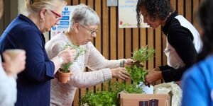 woman tends to flowers