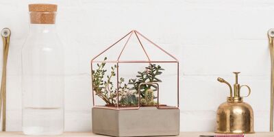 An image of Suck UK's products.