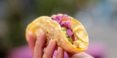 A picture of someone holding a taco.