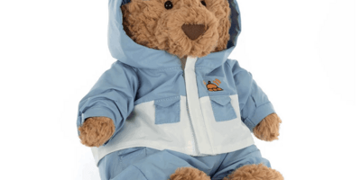 Image of a teddy bear.