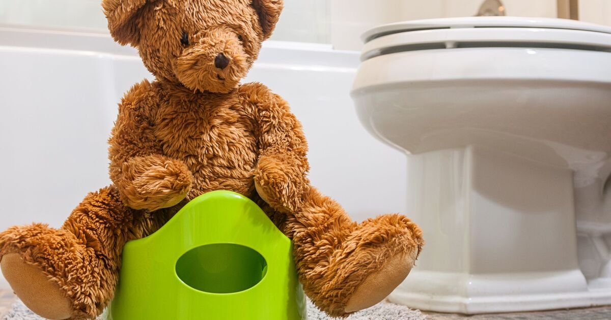 Let's Talk Toileting Workshops
